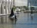 WHALE IN WATER